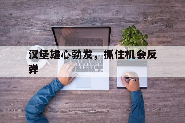 汉堡雄心勃发，抓住机会反弹的简单介绍