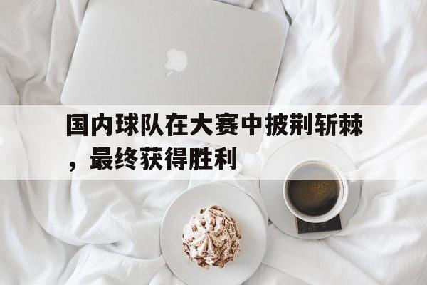 国内球队在大赛中披荆斩棘，最终获得胜利